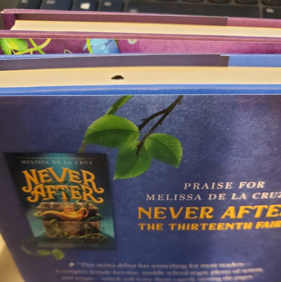 Books: The Stolen Slippers and The Broken Mirror by Melissa De La Cruz - Picture 3 of 4